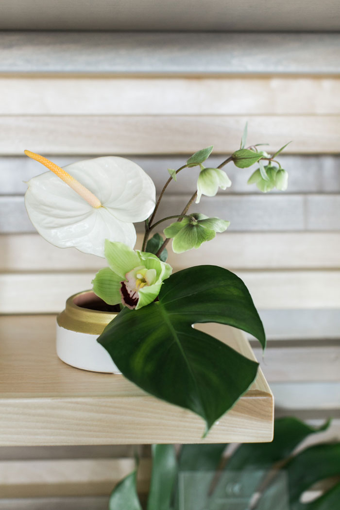 Minimal, modern, and tropical centerpiece.