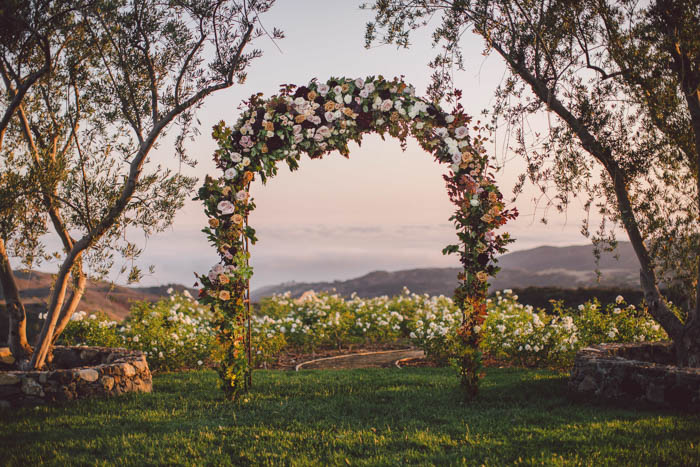 Floral arch full of garden roses, roses, sprays and dahilias in fall colors of blush, berry, burgundy and gold