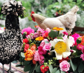 Backyard chickens frolicking in lush floral table garland