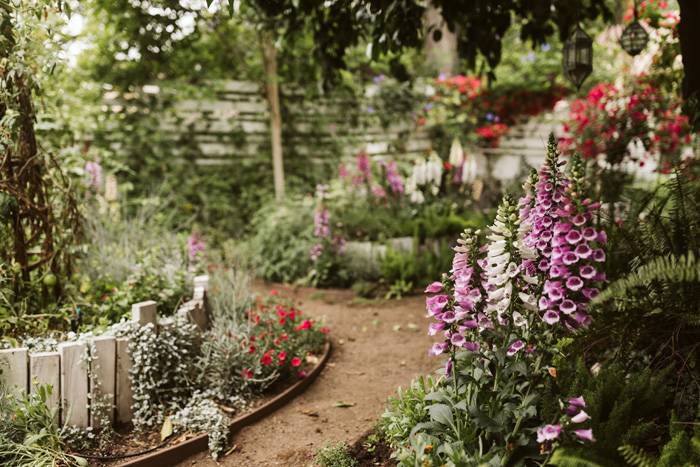 Gorgeous cottage garden paths lined with purple flowers