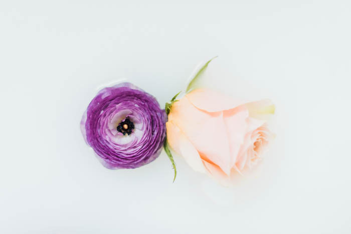 Better together- a purple japanese ranunculus and a peachy rose.